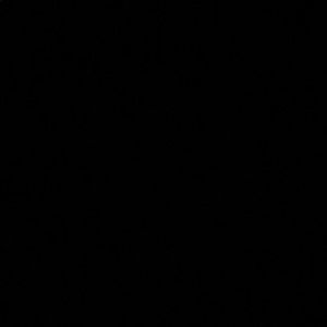 Meet your Posher, Mason